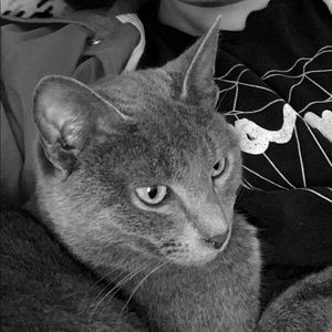 Meet your Posher, Conner